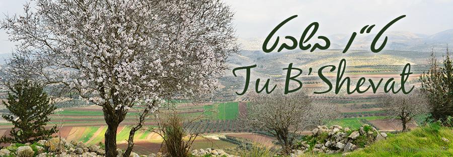 Happy Tu B’Shevat Wishes - DesiComments.com