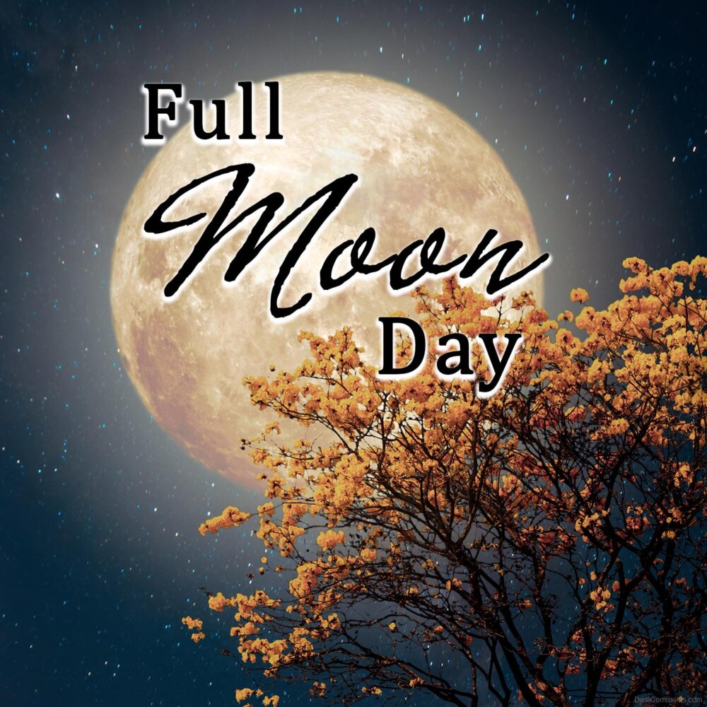 Happy Full Moon Day - Desi Comments