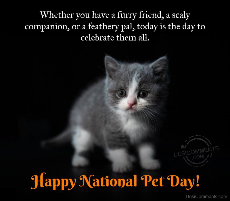 Happy National Pet Day Pic ?v=1681121494