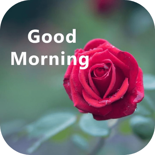 35+ Good Morning Red Rose Images - Desi Comments