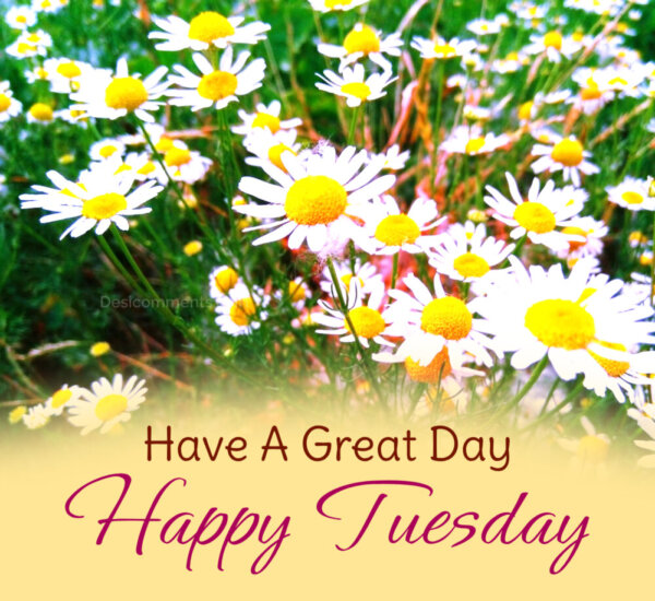 Have A Great Day Happy Tuesday