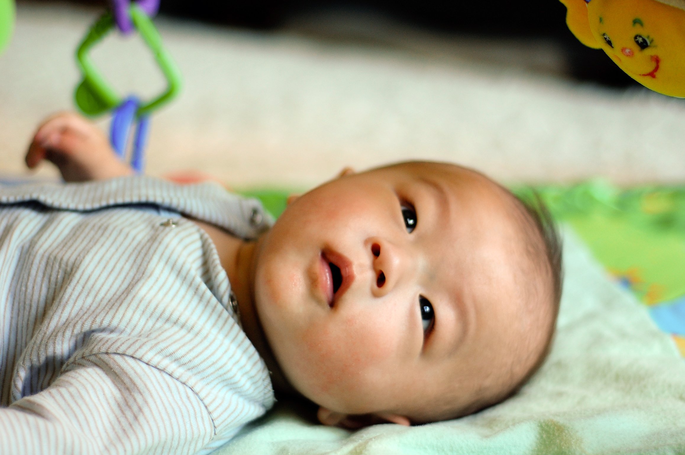 Asian Newborn Baby Face Closeup Picture DesiComments