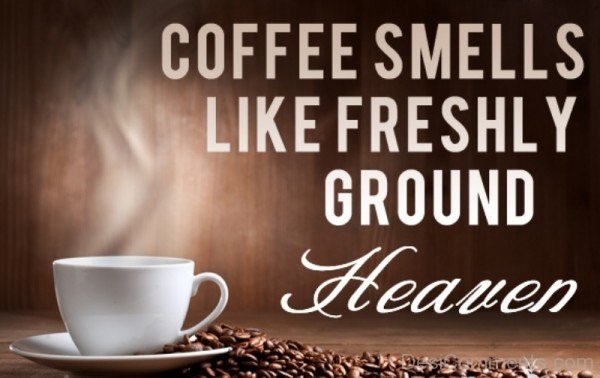 Coffee Is Ground Heaven