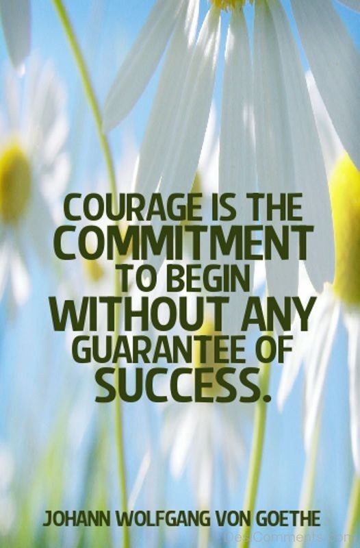 Courage Is The Commitment To Begin Without Any Guarantee Of Success-DC455