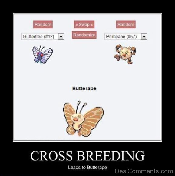 Cross Breeding