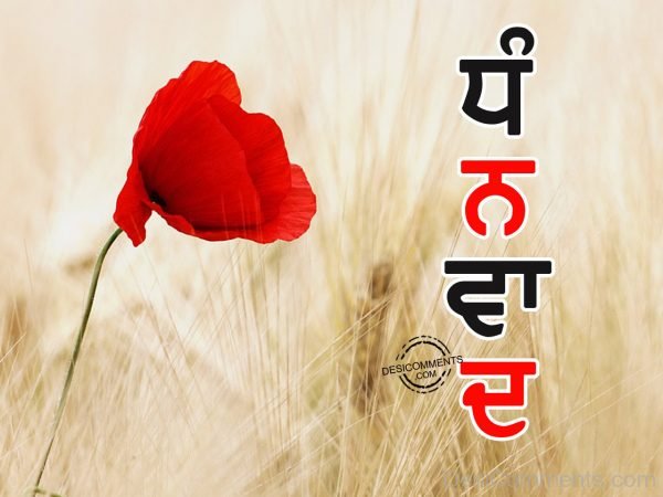 Dhanwaad with red flower