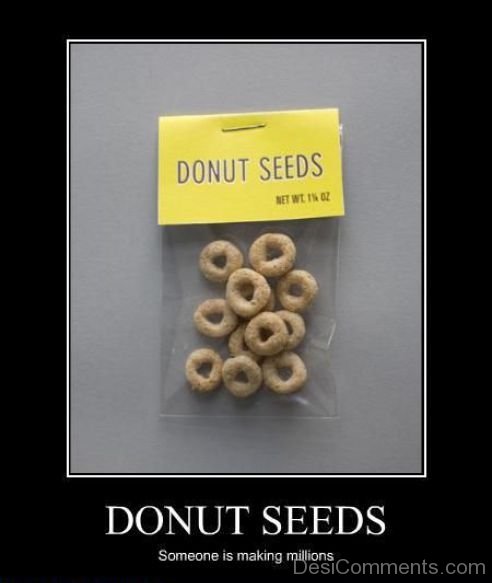 Donut Seeds