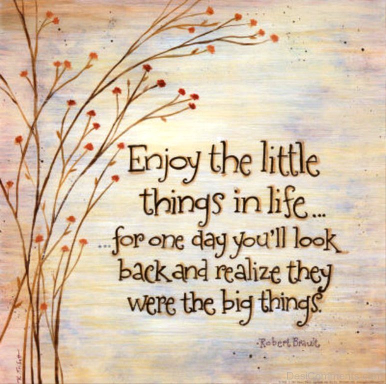 Enjoy the little things in life - DesiComments.com