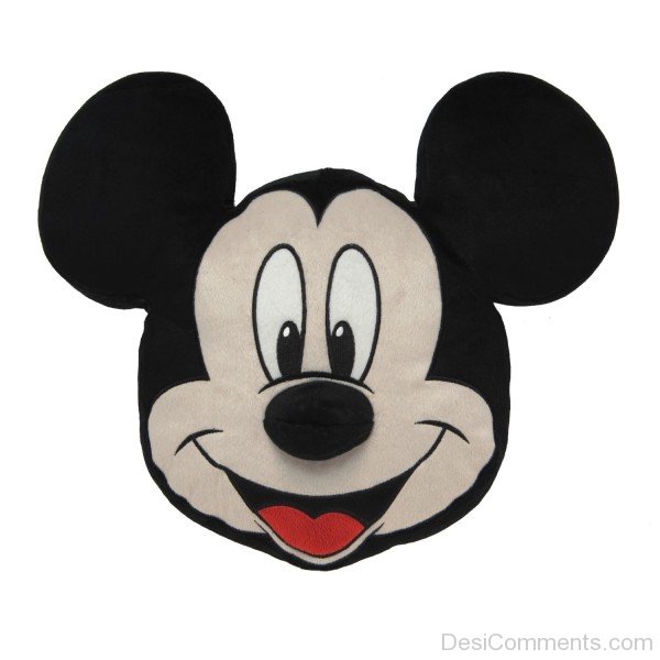 Face Image Of  Mouse