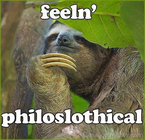 Feeling Philoslothical