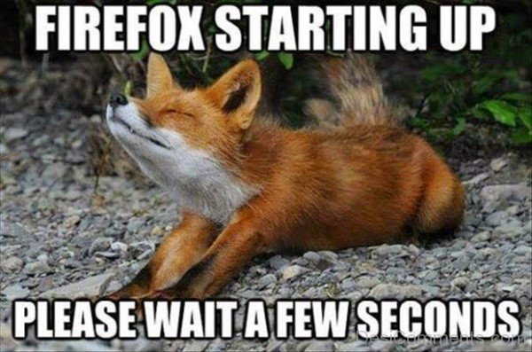 Firefox Starting Up