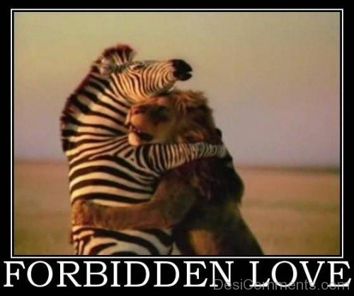 Forbidden Love