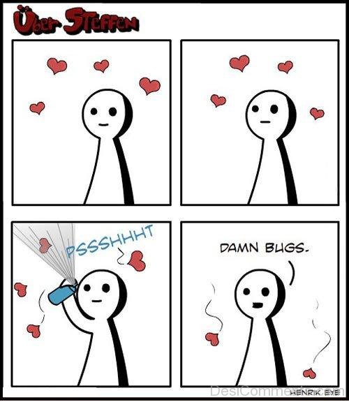 Funny Love Bug