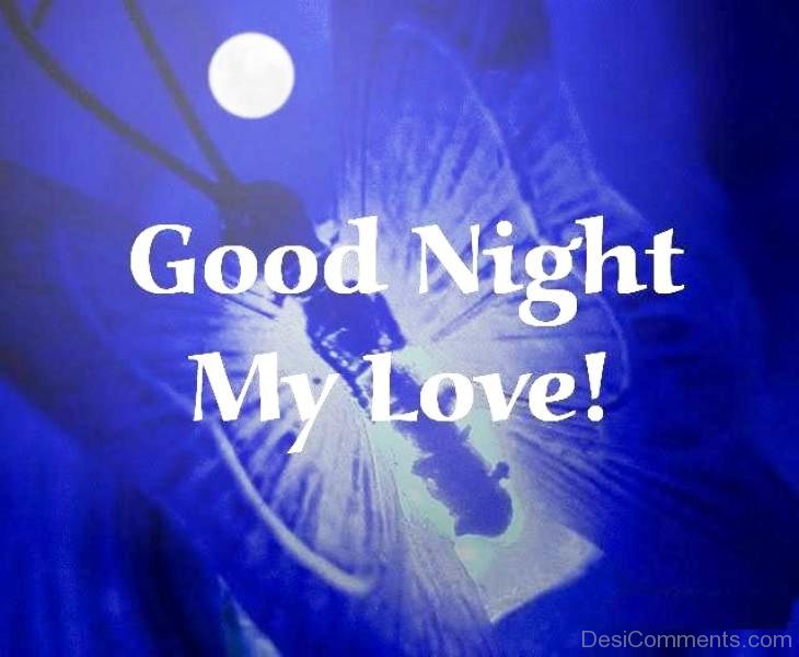 good night my love Pictures and Images