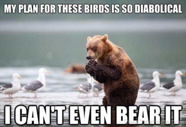 I Can’t Even Bear It