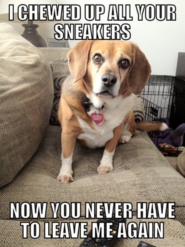 I Chewed Up All Yours Sneakers