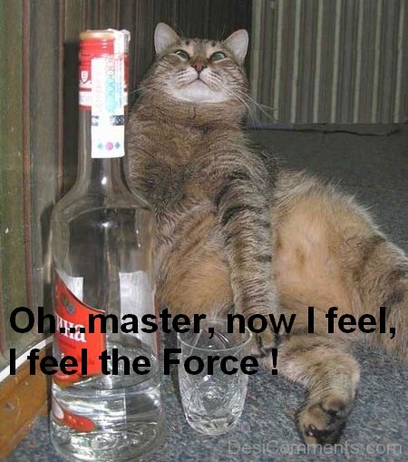 I Feel The Force