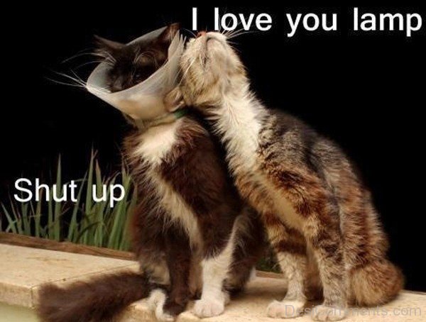 I Love You Lamp