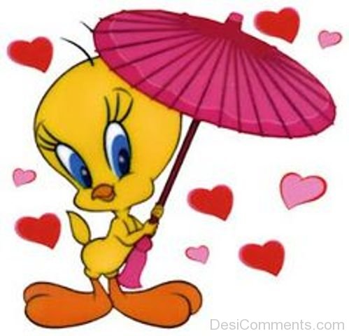 Love Bird Tweety