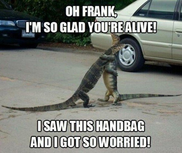 Oh Frank