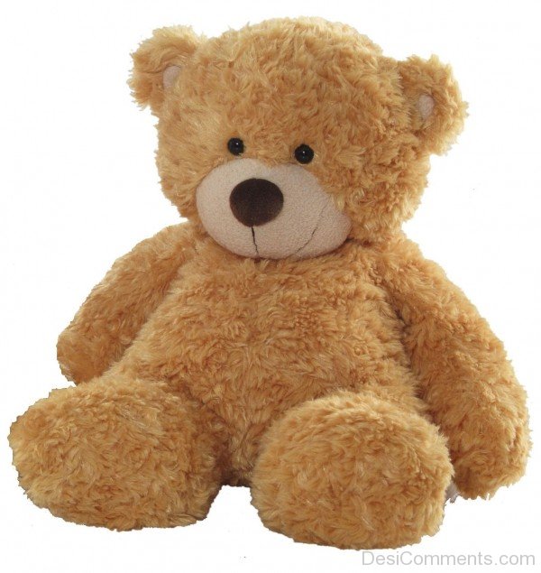 Photo Of Teddy Bear - DesiComments.com
