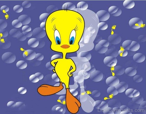 Photo Of Tweety