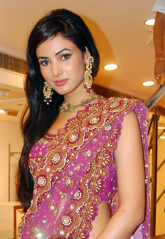 Sonal Chauhan In Beautiful Saree 