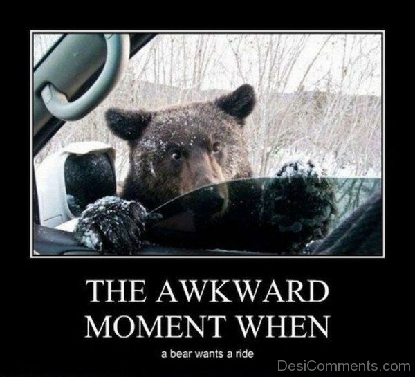 The Awkward Moment