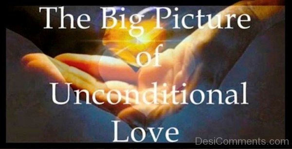 The Big Picture Of Unconditional Love-qaz126IMGHANS.COM04
