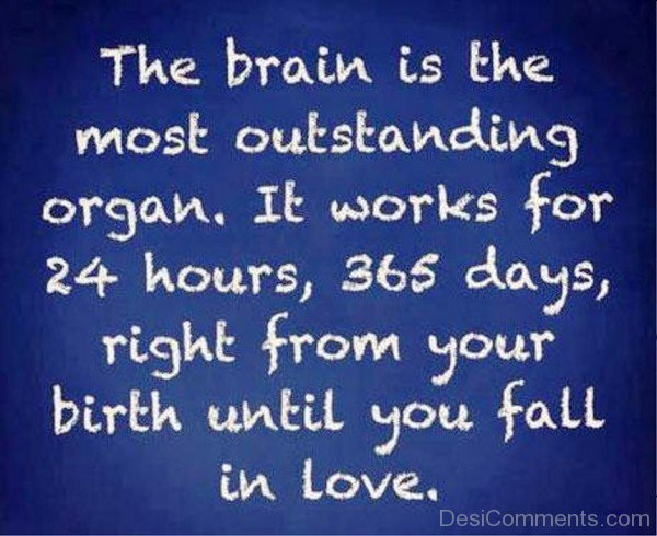 The Brain Is The Most Outstanding Organ