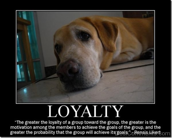 The  greater the loyalty of a group toward the group-DC51