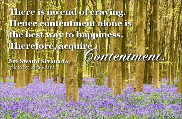 There Is No End Of Craving. Hence Contentment Alone Is The Best Way To Happiness-DC104