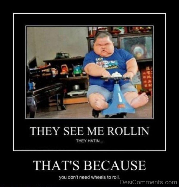 They See Me Rolling