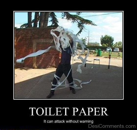 Toilet Paper