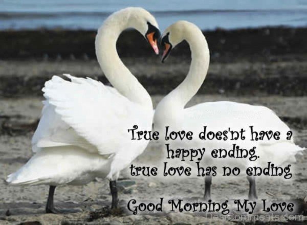 True Love Doesn't Have A Happy Ending-rwq141desi26