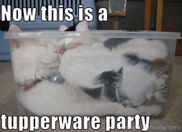 Tupperware Party