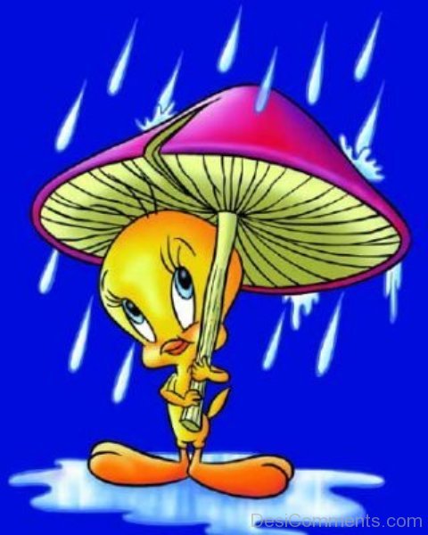 Tweety Holding Mushroom