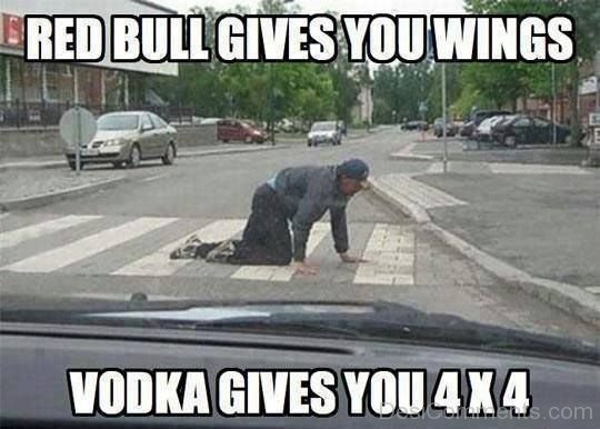 Vodka Gives You