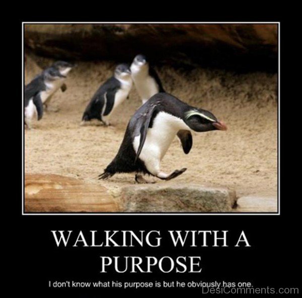 Walking With A Purpose