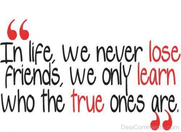 We Never Lose Friends-PC8839