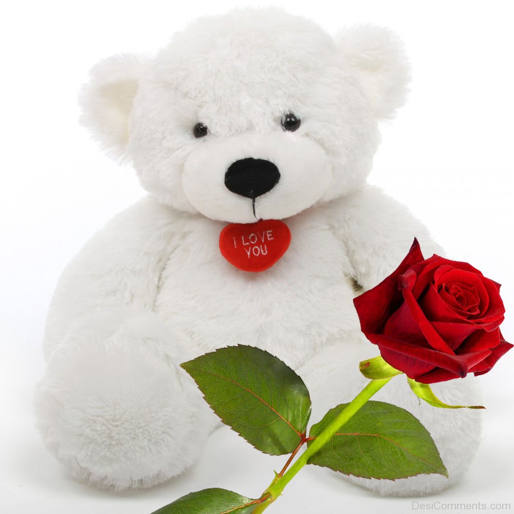 Cute White Teddy Bears With Roses