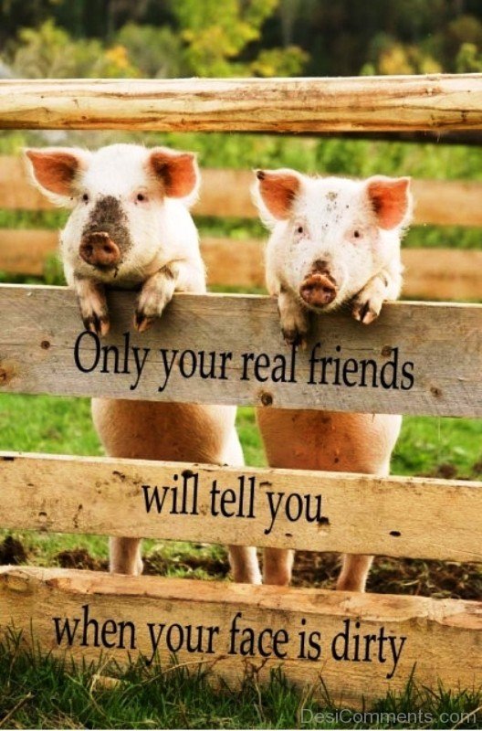 Your Real Friends