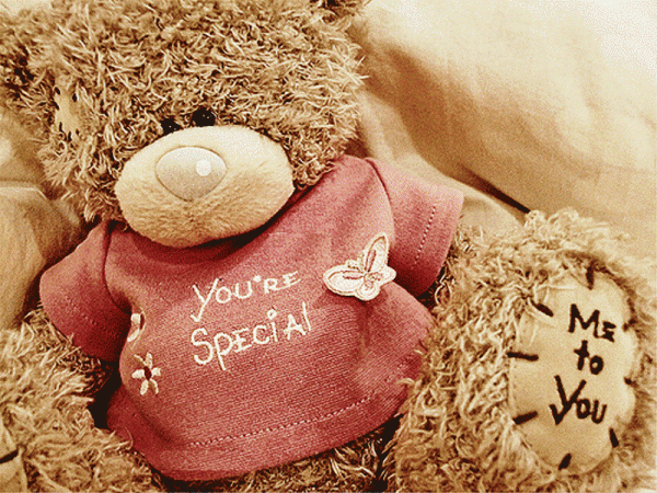 You’re Special Teddy Image